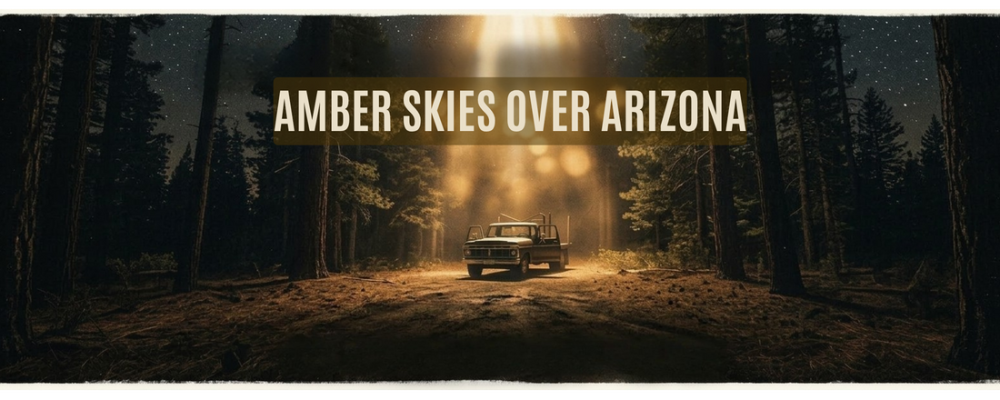 Sky on Fire: The Disappearance of Travis Walton and the Turkey Springs Mystery
