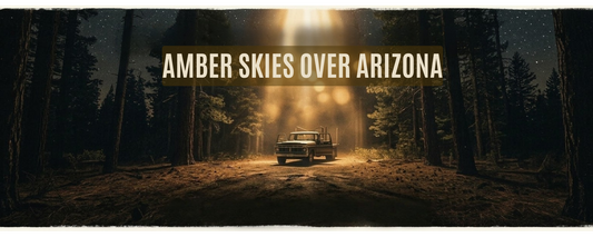 Sky on Fire: The Disappearance of Travis Walton and the Turkey Springs Mystery