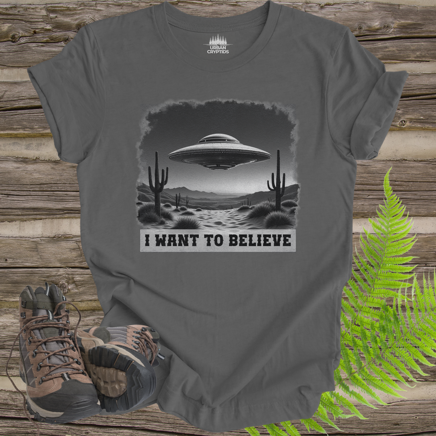 I Want To Believe UFO