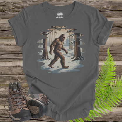 Sasquatch Trail Series – Snowy Forest Trail