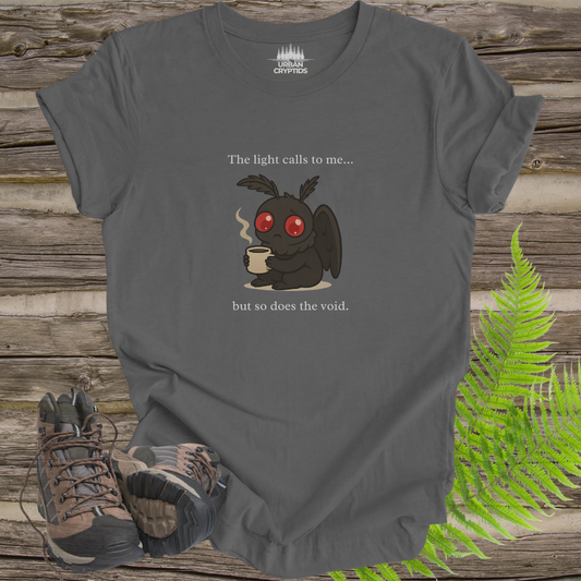 The Light Calls To Me