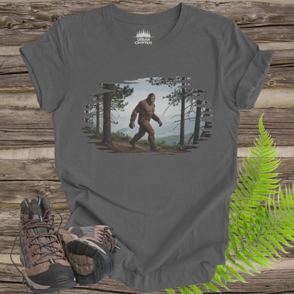 Sasquatch Trail Series – Foggy Forest Trail