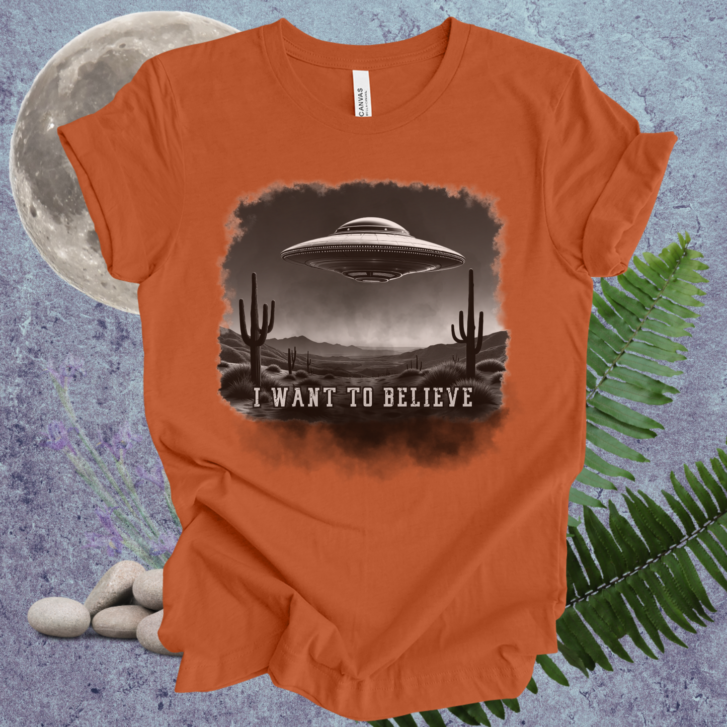 I Want To Believe UFO