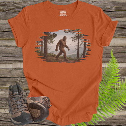 Sasquatch Trail Series – Foggy Forest Trail