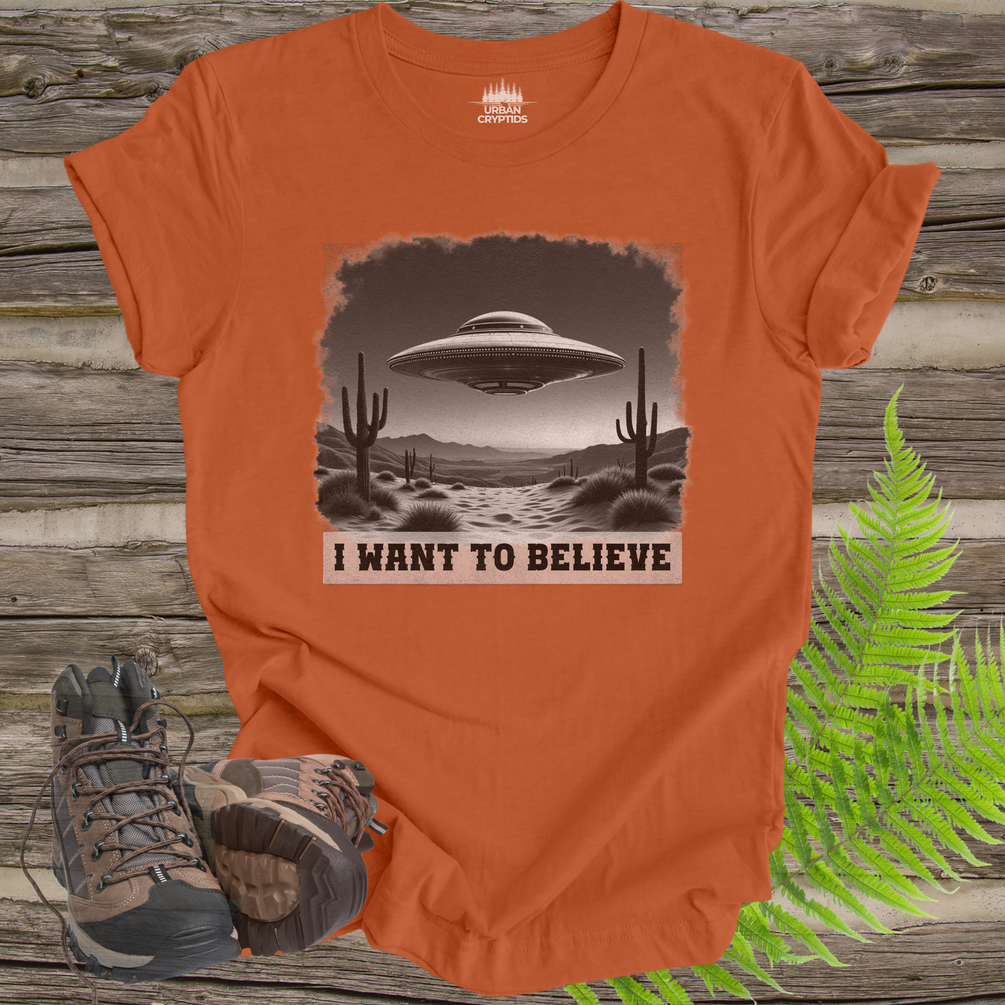 I Want To Believe UFO