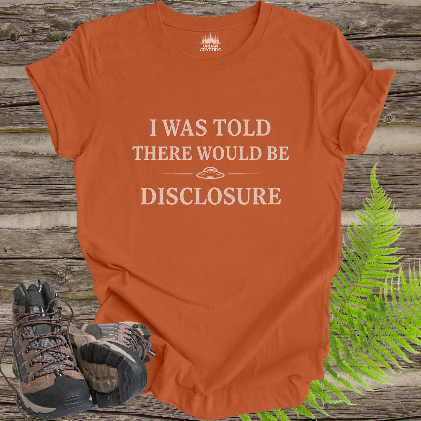 I Was Told There Would Be Disclosure T-Shirt – Funny UFO Disclosure Tee