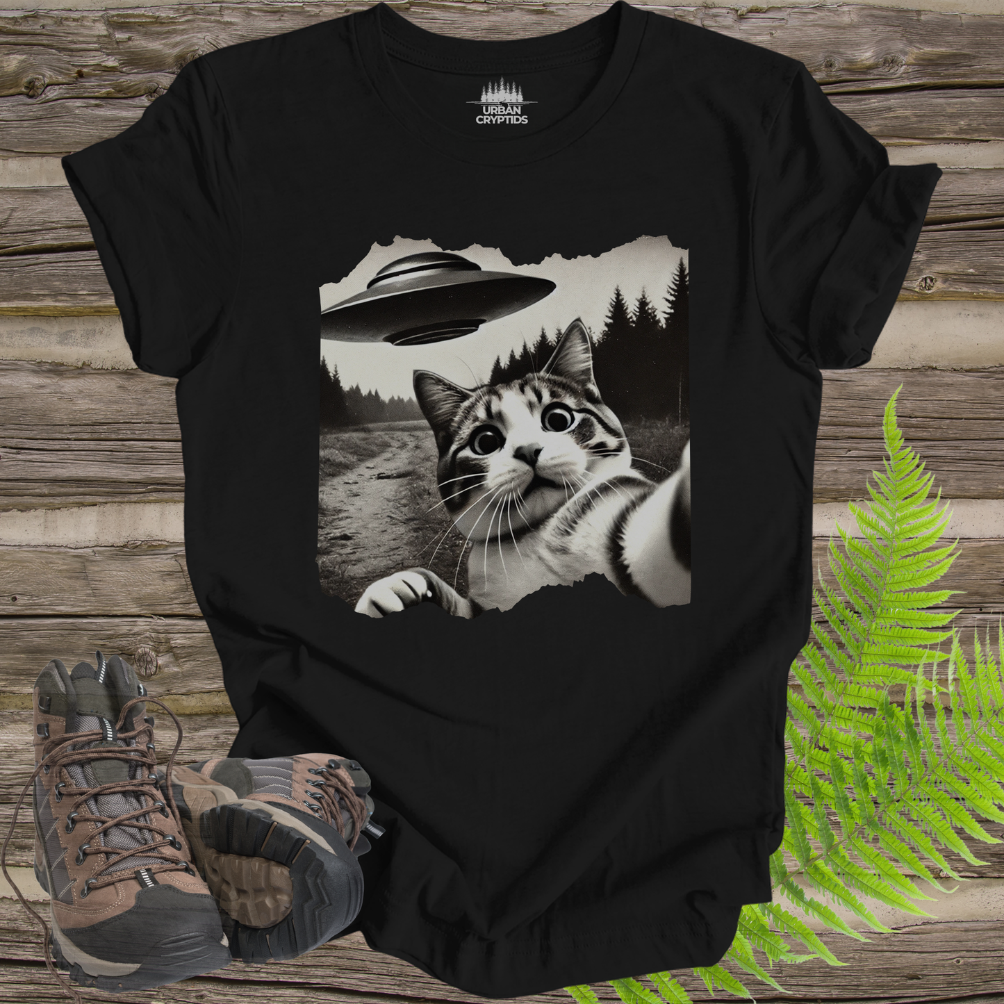 UFO Cat Selfie In Field