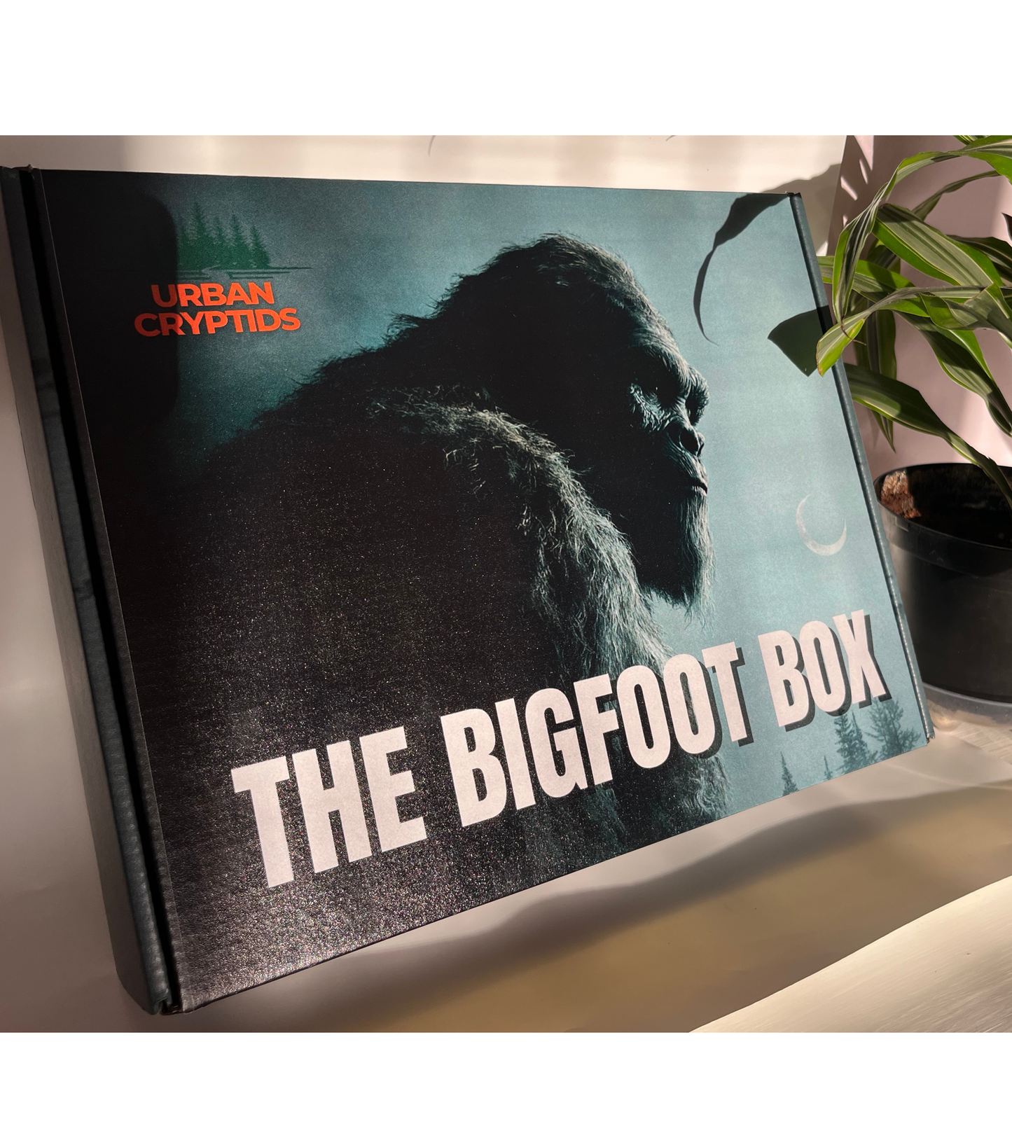 The Bigfoot Box (Launch Edition)