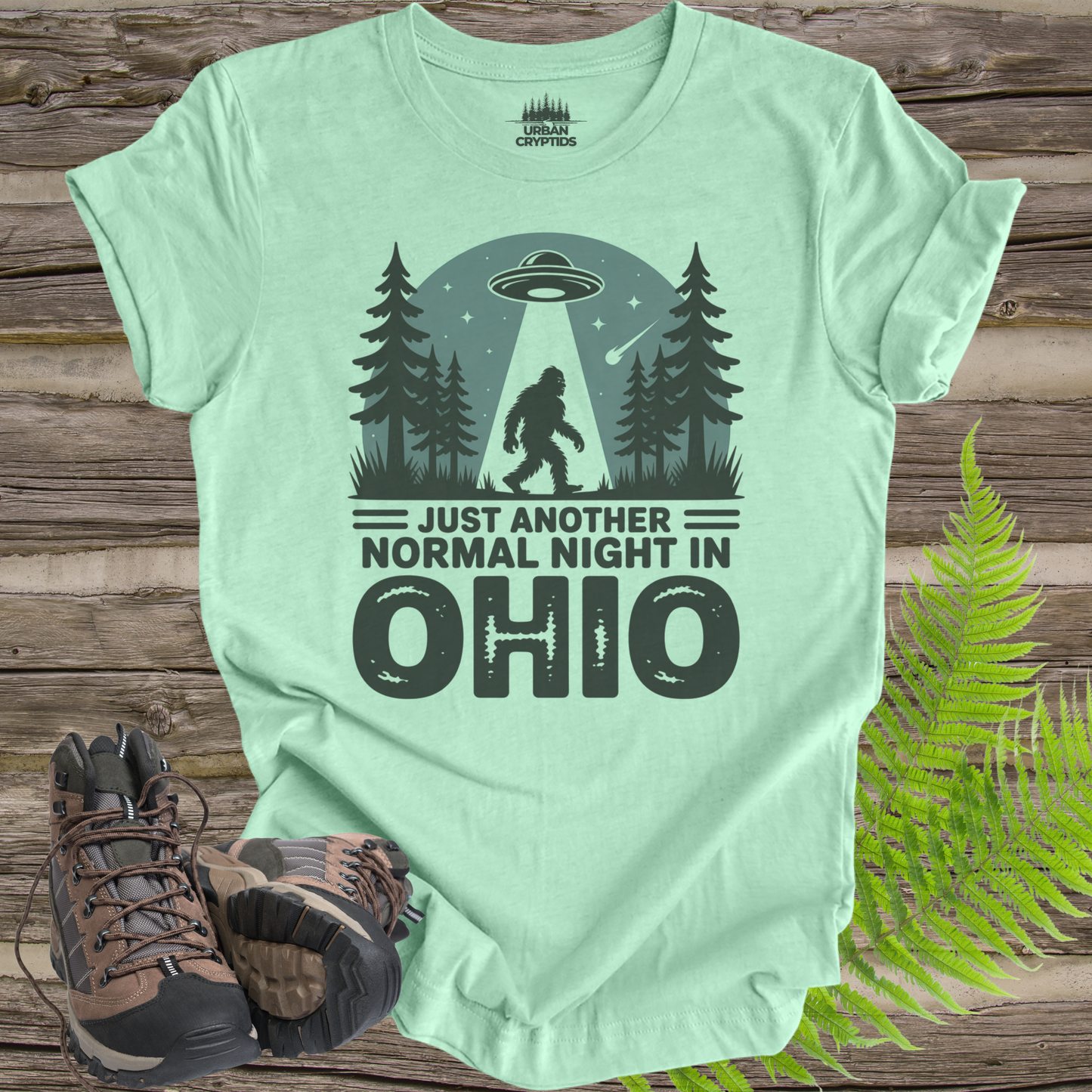 Just Another Normal Night in Ohio Shirt – Bigfoot UFO Abduction Tee, Funny Cryptid Shirt, Sasquatch Alien Graphic Tee