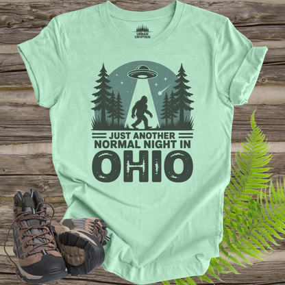 Just Another Normal Night in Ohio Shirt – Bigfoot UFO Abduction Tee, Funny Cryptid Shirt, Sasquatch Alien Graphic Tee