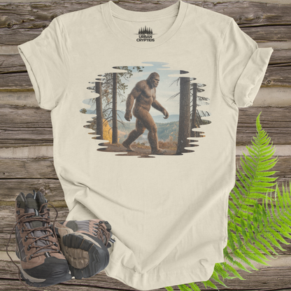 Sasquatch Trail Series – Autumn Forest Trail