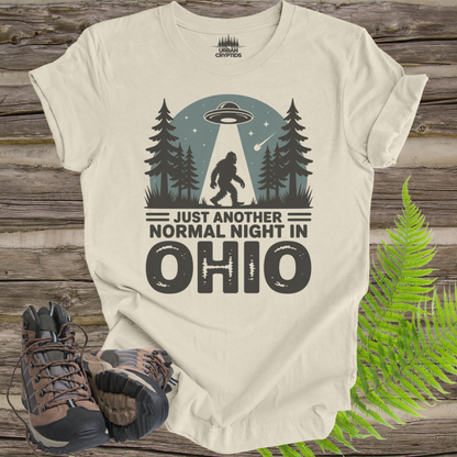 Just Another Normal Night in Ohio Shirt – Bigfoot UFO Abduction Tee, Funny Cryptid Shirt, Sasquatch Alien Graphic Tee