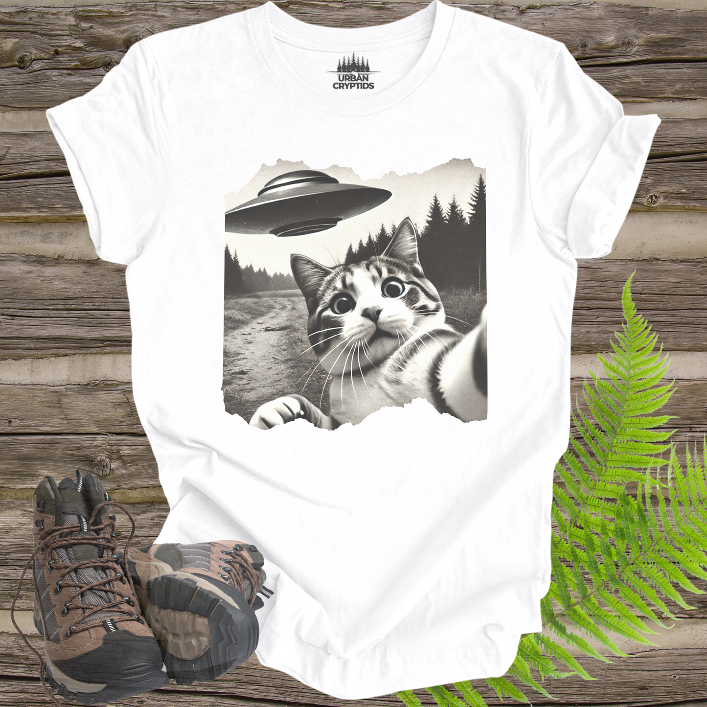 UFO Cat Selfie In Field